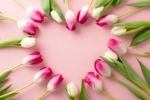 Express affection on Mother's Day with a charming top view scene of tulips forming a heart on a pale pink surface. Ideal for sending warm wishes, with a designated area for your heartfelt words