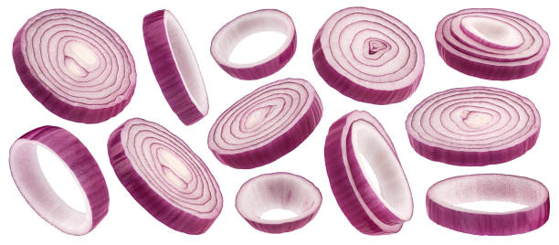 istock Red onion rings isolated on white background, full depth of field 1975283501