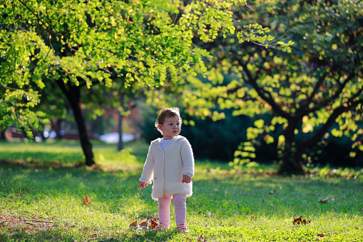 Baby walking on dry leaves in the park