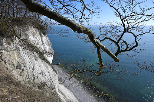 Famous white cliffs in Jasmund National Park on Rugen island, Germany