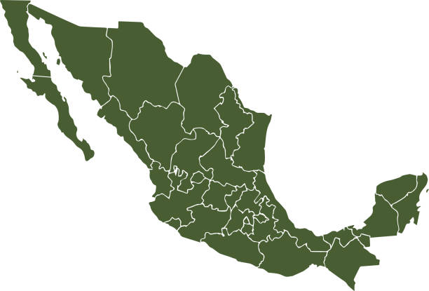 mapa wektorowa meksyku kolor - michoacan state stock illustrations