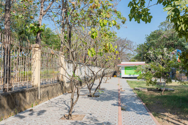 la strada cittadina e il parco si fondono senza soluzione di continuità in questa vibrante oasi urbana, dove alberi, natura e architettura convivono sotto il cielo aperto - eclectic community foto e immagini stock