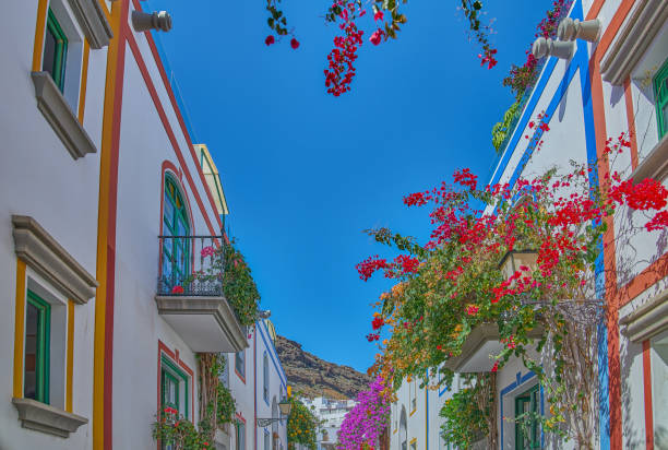 istock Gran Canaria island, nature and architecture 1975412181