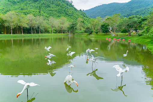 Yang Bay Park in Vietnam near Nha Trang.