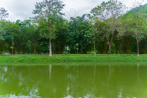 Yang Bay Park in Vietnam near Nha Trang.