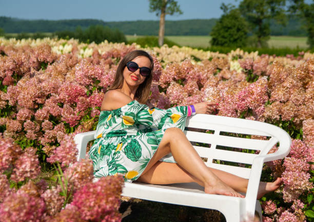 istock A girl is sitting on a white bench in a field of hydrangeas. 1975452811