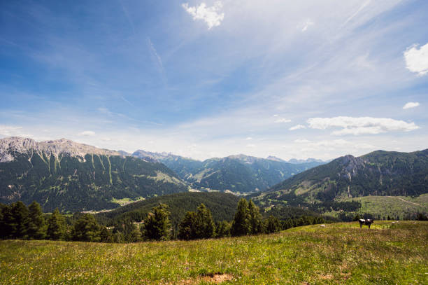 istock mountain landscape inside the Dolomites mountain range, Val di Fassa, Italy 1975458066