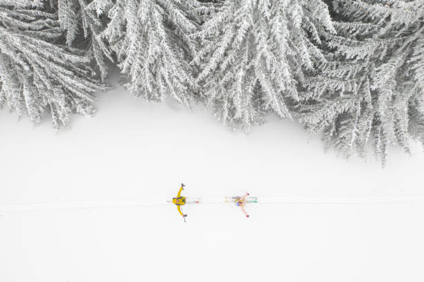 Drone photograph with ski touring skier crossing through pine tree forest during heavy snowfall