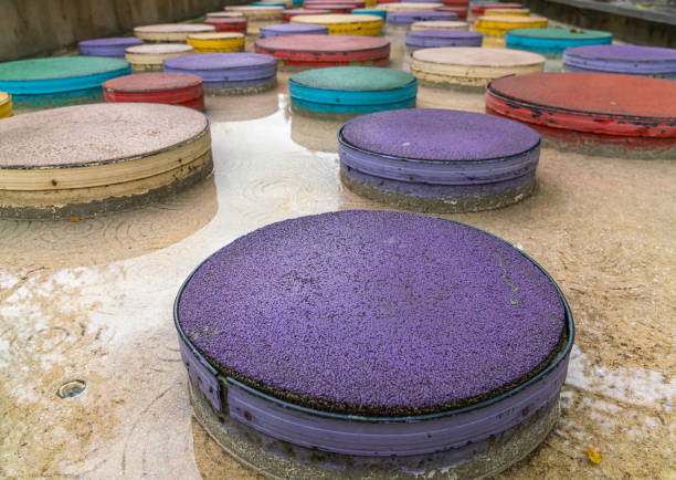 Colorful circle-shaped seating in a city park