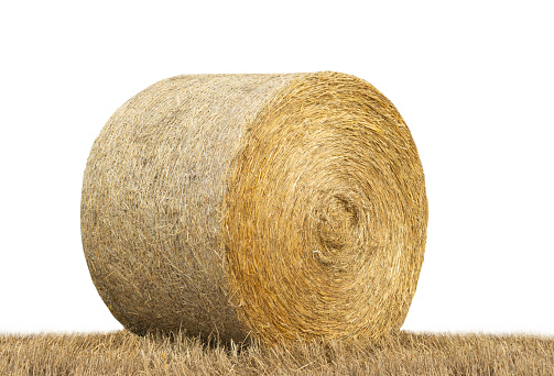 hay bale in provence