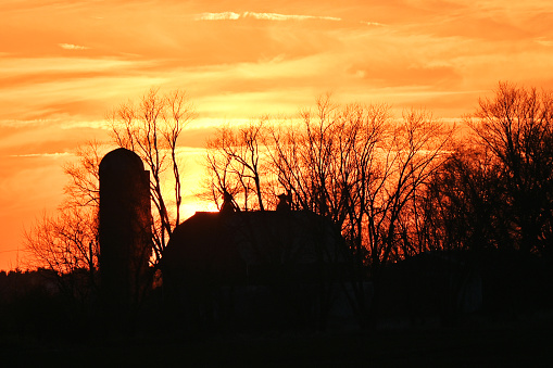 Silhoutte of silo and barn with sun setting in the distance.
