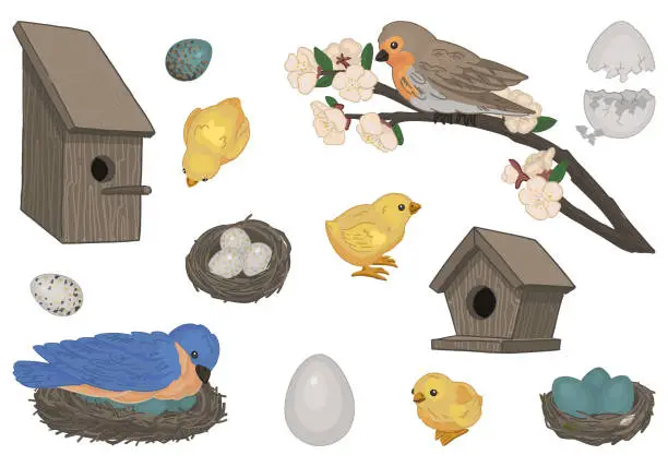 Vector illustration of Spring time collection. Sketches set of birds, nest, chicks, bird houses, eggs. Vector illustration in cartoon style isolated on white.