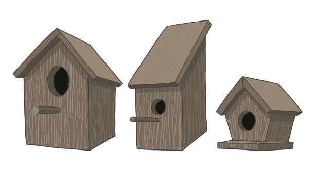 illustrations, cliparts, dessins animés et icônes de ensemble de clipart de maisons d’oiseaux en bois. collection de griffonnages de printemps. illustration vectorielle dans le style de bande dessinée isolée sur blanc. - birdhouse wood isolated white background