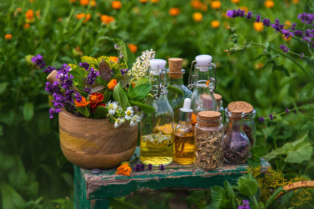 Plants and herbs, nature, alternative medicine. Selective focus Nature
