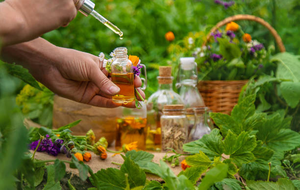 istock Plants and herbs, nature, alternative medicine. Selective focus. 1975500174
