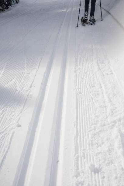 ski tracks next to snow shoeing lane with single person walking with poles up ahead