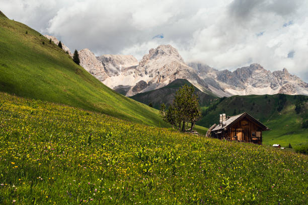 istock mountain landscape inside the Dolomites, Val di Fassa, Italy 1975558174