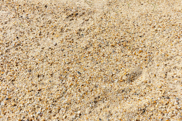 istock Yellow coarse sand background photography 1975562450