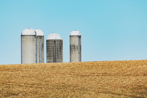 Four grain silos in rural Nova Scotia.