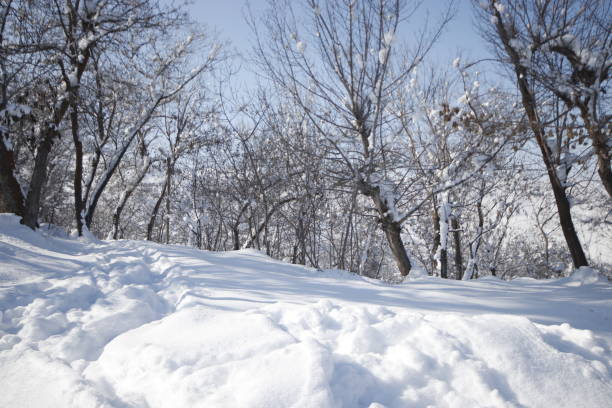 istock winter views from the city 1975702338