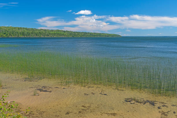 istock Grassy Shore on a North Woods Lake 1975703922
