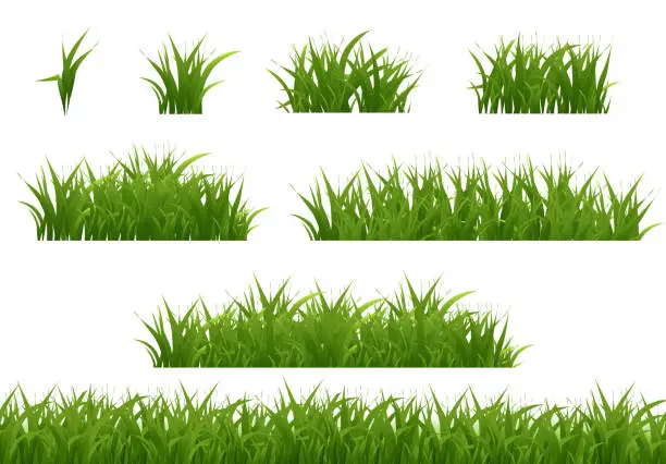 Vector illustration of Grass Big Collection With White Background