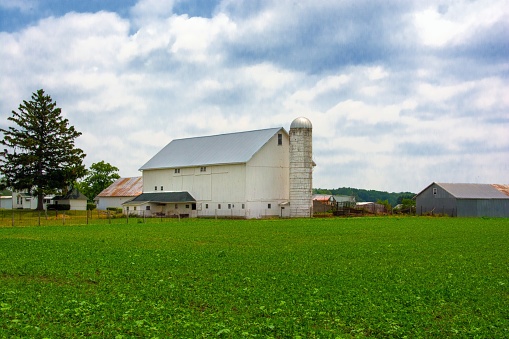 Barn with Soybean field and silo- Amish Country- Northern Indiana