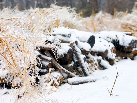 Pile of Logs covered in snow next to a field of hay firewood