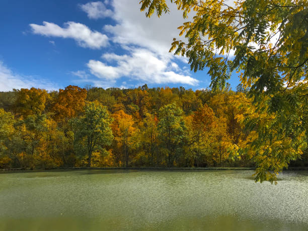 Autumnal leaf colour in Vermont, USA.