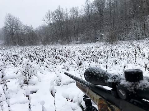 Hunting in the Winter - snow in the field- fresh snowfall - rifle pointing in field