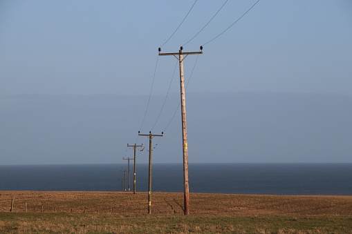 Telegraph poles by sea