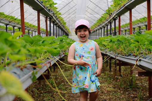 child in strawberry greenhouse