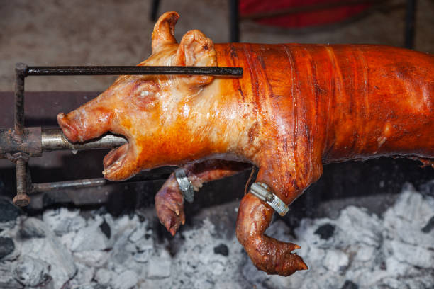 a young pig is roasted on a spit over coals. - spit roasted roasted roast pork domestic pig fotografías e imágenes de stock