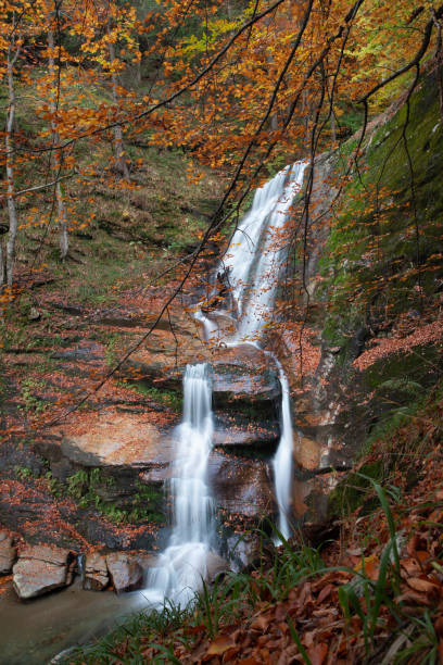 istock Vertical image of a beautiful waterfall in colorful autumnal beech forest. 1975860898