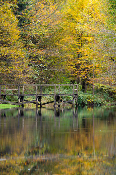 istock Mountain lake wooden pier. 1975863588