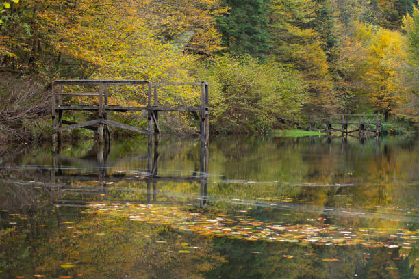 drewniane molo nad górskim jeziorem. uspokajająca wiejska sceneria. jesień, liście, krystalicznie czysta woda. idylliczna scena pozamiejska. - non rural scene zdjęcia i obrazy z banku zdjęć