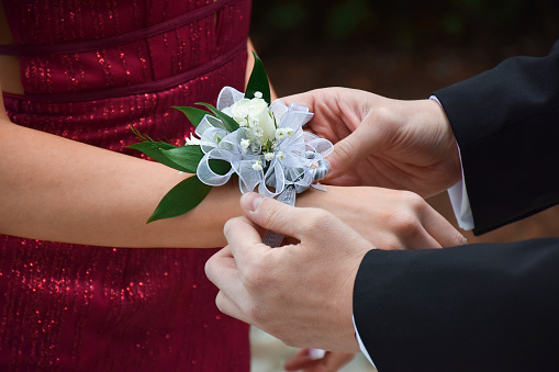Young man putting white rose corsage on his prom date hand, closeup on the hands