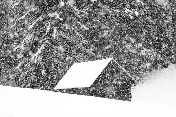 Mountain log cabin under heavy snow.