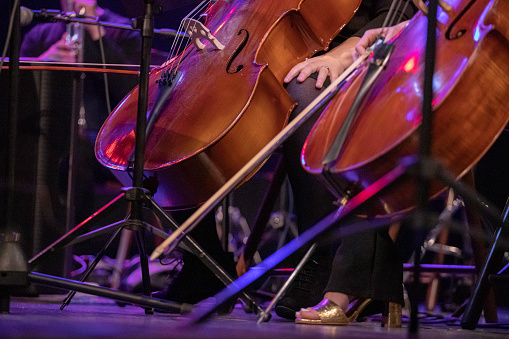 Jazz musician playing the double bass.