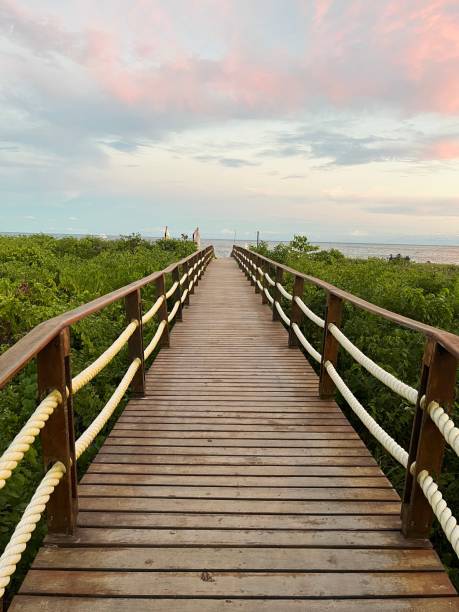 istock Wooden walkway leading to the beach. 1975885468