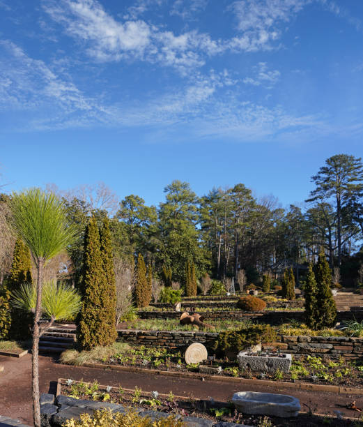 duke gardens in durham , north carolina - duke gardens 뉴스 사진 이미지