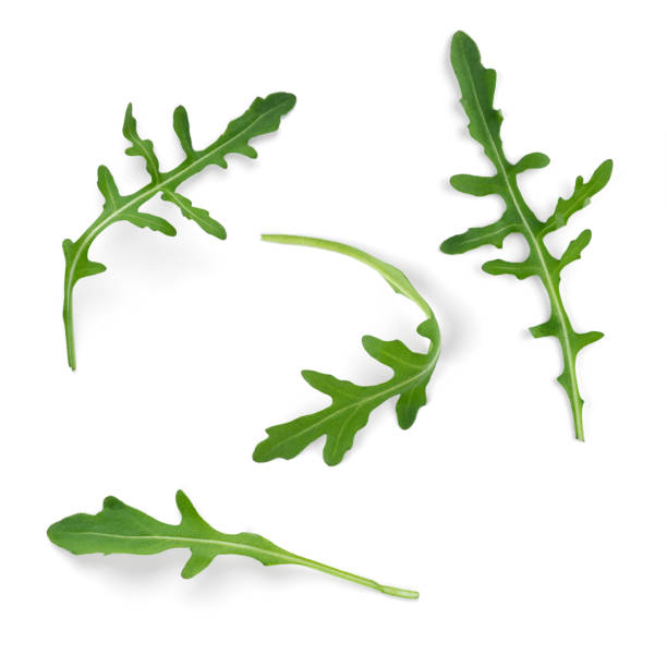 istock Lettuce leaves, arugula and spinach on a white isolated background 1975959689