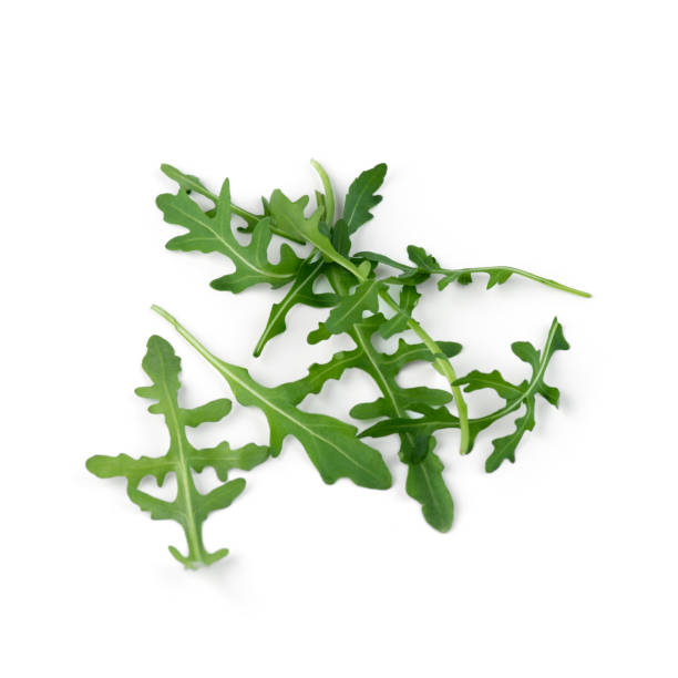istock Lettuce leaves, arugula and spinach on a white isolated background 1975960734