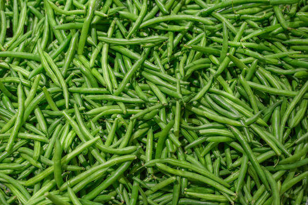 close up on green bean pod as food background - green bean bean pod nobody imagens e fotografias de stock