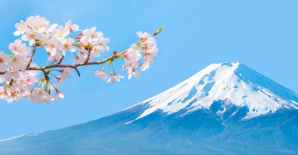 富士山と桜と青空のある日本の春のイメージ風景