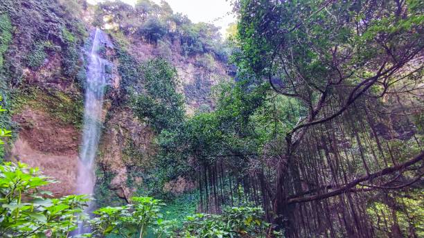 istock Nature view of Waterfall in the forest 1976055399