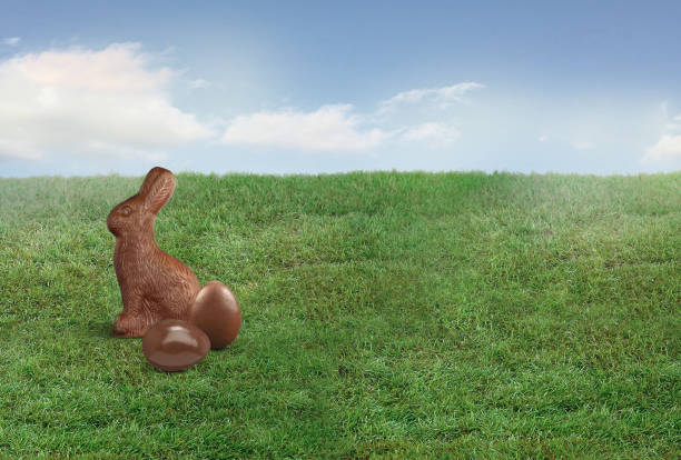 Chocolate Easter bunny and chocolate eggs on a grass lawn