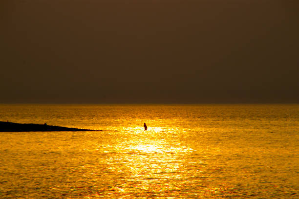 Angler in silhouette at golden sunset in the springtime