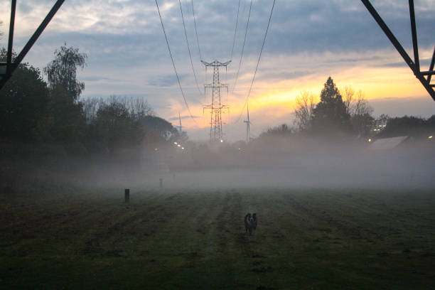 A dog playing fetch on a field in a residential area of ‘s-Hertogenbosch (den bosch), located in the province of North Brabant. There’s a foggy sunset in the background and in the foreground is a transmission tower and all the way in the background are some windturbines