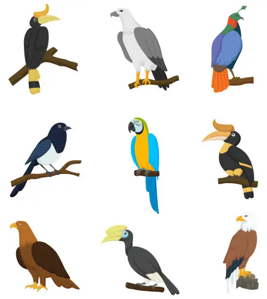 Vector illustration of Set of cute birds cartoon collection